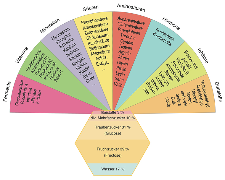 Honigfaecher 760x410