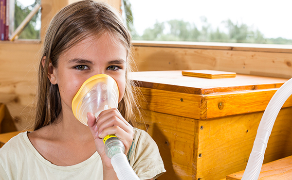 Bienen gegen Asthma