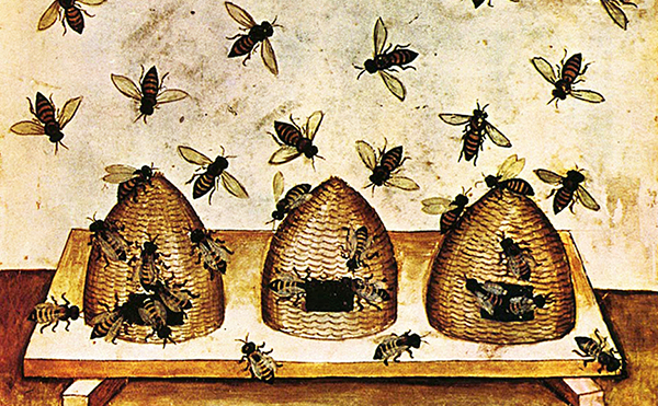 Bienenstockluft