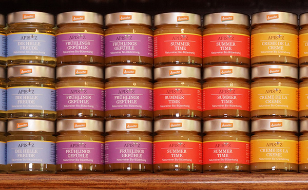 Bienenschwarm in Robinie