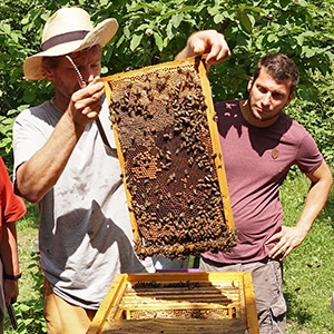 Besuch bei den Bienen
