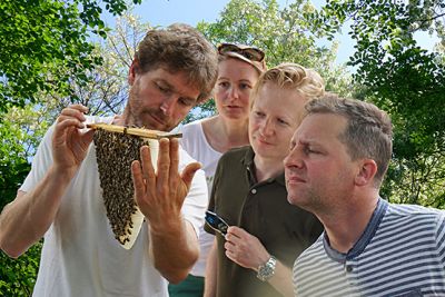 Kursteilnehmer betrachten Naturbauwabe